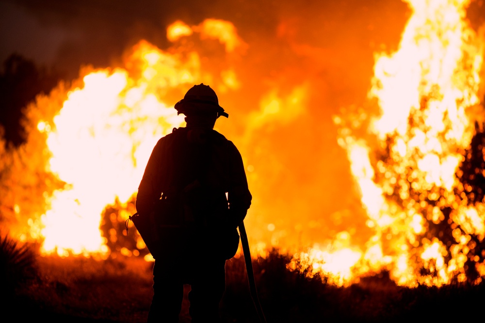 What a California Wildfire Litigation Lawyer Can Do For You
